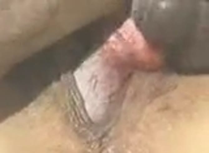 Video :Dog dick giving dog creampie inside girl's wet pussy